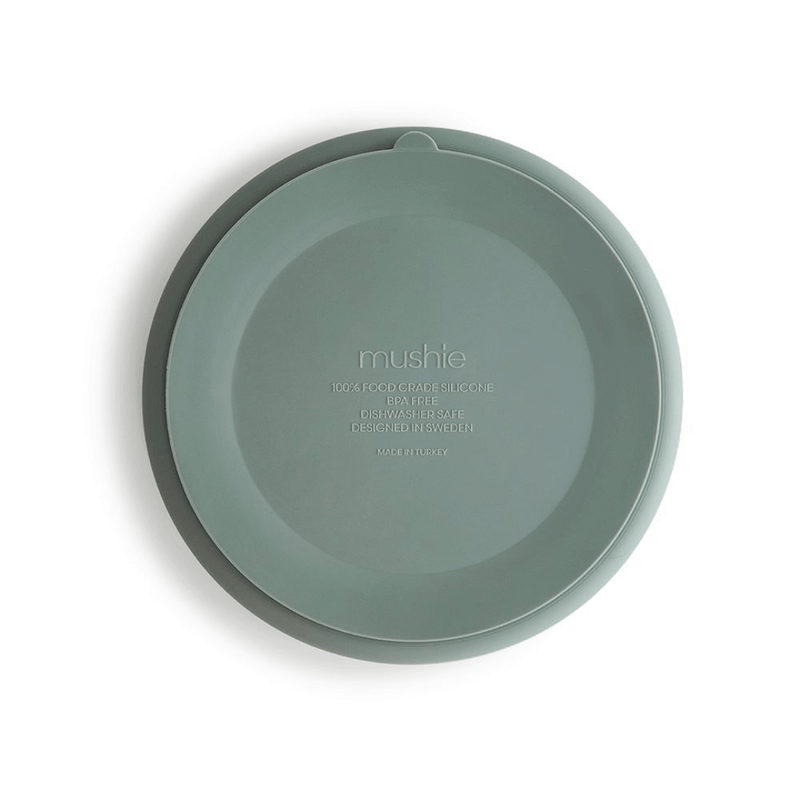 Silicone Plate Cambridge Blue eco-friendly material